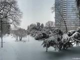 Giardini Margherita. Neve del 1 Febbraio 2012 Giardini Margherita. Neve del 1 Febbraio 2012