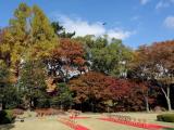 京都 二条城 清流園 婚禮將在此舉行 a wedding will be held here,Nijojo Castle,Kyoto,Japan,WHL 京都 二条城 清流園 婚禮將在此舉行 a wedding will be held here,Nijojo Castle,Kyoto,Japan,WHL