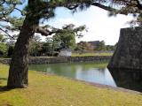 京都 二条城 Nijojo Castle,Kyoto,Japan,WHL 京都 二条城 Nijojo Castle,Kyoto,Japan,WHL