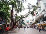 禺山路(YuShan Rd.)