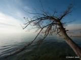 Zwischen Lazise und Bardolino (Gardasee). Zwischen Lazise und Bardolino (Gardasee).