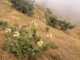 На склоне / Оn a slope На склоне / Оn a slope