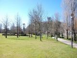SANTIAGO DE COMPOSTELA... SANTIAGO DE COMPOSTELA...