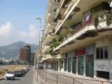 SALERNO SALERNO