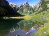 Wasserauen-Seealpsee Wasserauen-Seealpsee