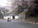 Nijo Castle Gardens Nijo Castle Gardens
