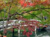 永觀堂禪林寺 (Eikando Zenrin-ji, Kyoto) - 放生池 永觀堂禪林寺 (Eikando Zenrin-ji, Kyoto) - 放生池