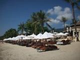Beach Shade Beach Shade