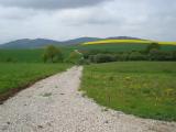 Wanderweg nach Nedensdorf - Im Hintergrund die Eierberge Wanderweg nach Nedensdorf - Im Hintergrund die Eierberge