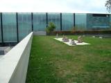KUMU Art Museum KUMU Art Museum