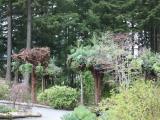 Funny trees