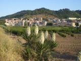 Martorell - Panorámica de La Vila