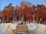 White sculptures on the snow. White sculptures on the snow.