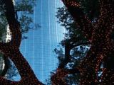 Festive Lights at Hermann Square (Wells Fargo Bank Plaza in back)