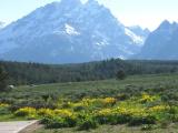 Snowy Tetons in July 2011