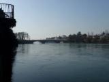 Blick Rheinabwärts