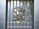 "I ain't afraid of your jail." - Civil Rights Statue at Kelly Ingram Park "I ain't afraid of your jail." - Civil Rights Statue at Kelly Ingram Park