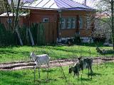 Самостоятельность Самостоятельность