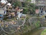 Tetsugaku-no-Michi  哲学之道