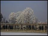 Pergola in winter