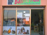 Baffi e Piume Baffi e Piume