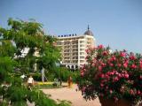 Hotel Admiral, garden Hotel Admiral, garden
