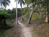 Path Path