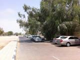Al Ain Road View العين عرض الشار
