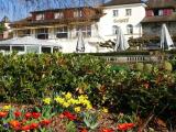  Blumenpracht beim Murtener Hafen / Glory Flowers at Murten's Harbour