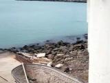 Pomorie port 4 Pomorie port 4
