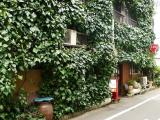 六曜館 六曜館