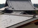 Roofs Roofs