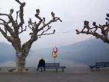 giorno meditativo a ascona giorno meditativo a ascona