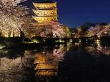 東寺 東寺