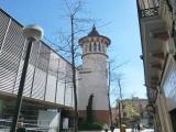 Sabadell, Museo Paleontológico y biblioteca de la Caja Sabadell, Museo Paleontológico y biblioteca de la Caja