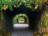 Kastélypark, Castle Park, Hluboka nad Vltavou