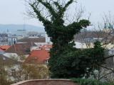 Schlossmuseum Linz Schlossmuseum Linz