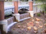 Water under the Bridge at the World's Fair Park in Knoxville, TN Water under the Bridge at the World's Fair Park in Knoxville, TN