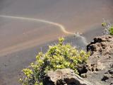 Trail on Haleakala Trail on Haleakala