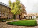 Grassi Museum