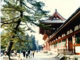 Todaiji Temple, Nara(東大寺, 奈良) -2 Todaiji Temple, Nara(東大寺, 奈良) -2