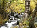 Tardor al Serrat, Riu de Sorteny Tardor al Serrat, Riu de Sorteny