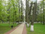Аллея Аллея