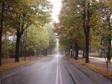 Cuneo - Viale Angeli