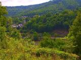 Blick vom Klostersift in das Neckartal