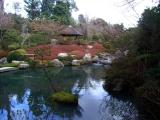 Taizo-In Garden