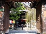 頂法寺(六角堂)-1 頂法寺(六角堂)-1