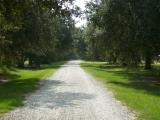 LSU Rural Life road
