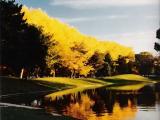 Liberty Park in fall.