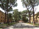 Viale Italia